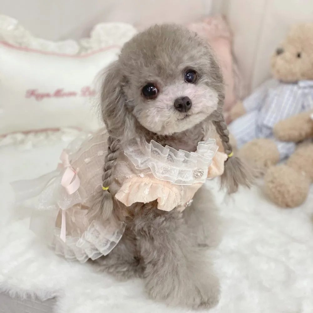 Chiffon Pet Dresses