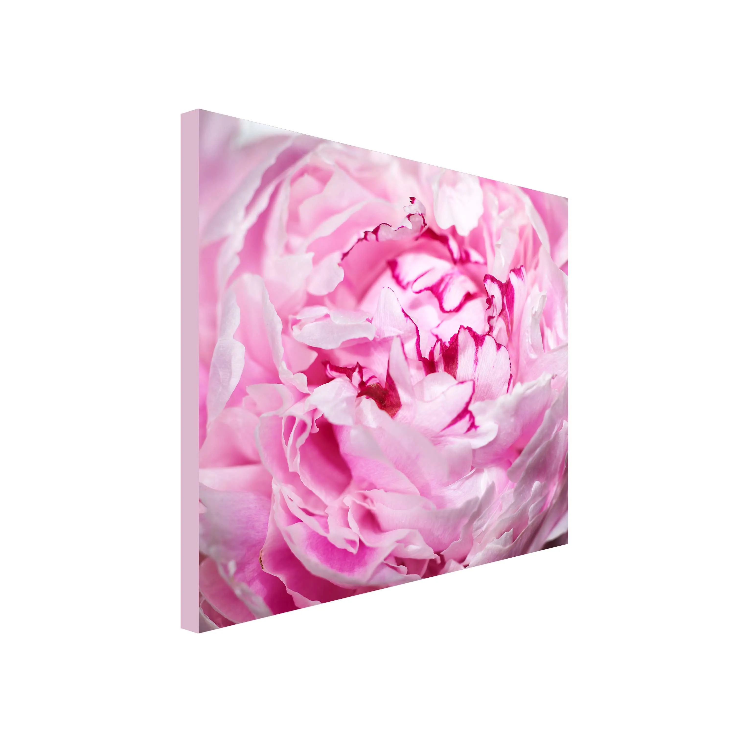 Pink Floral Art Canvas