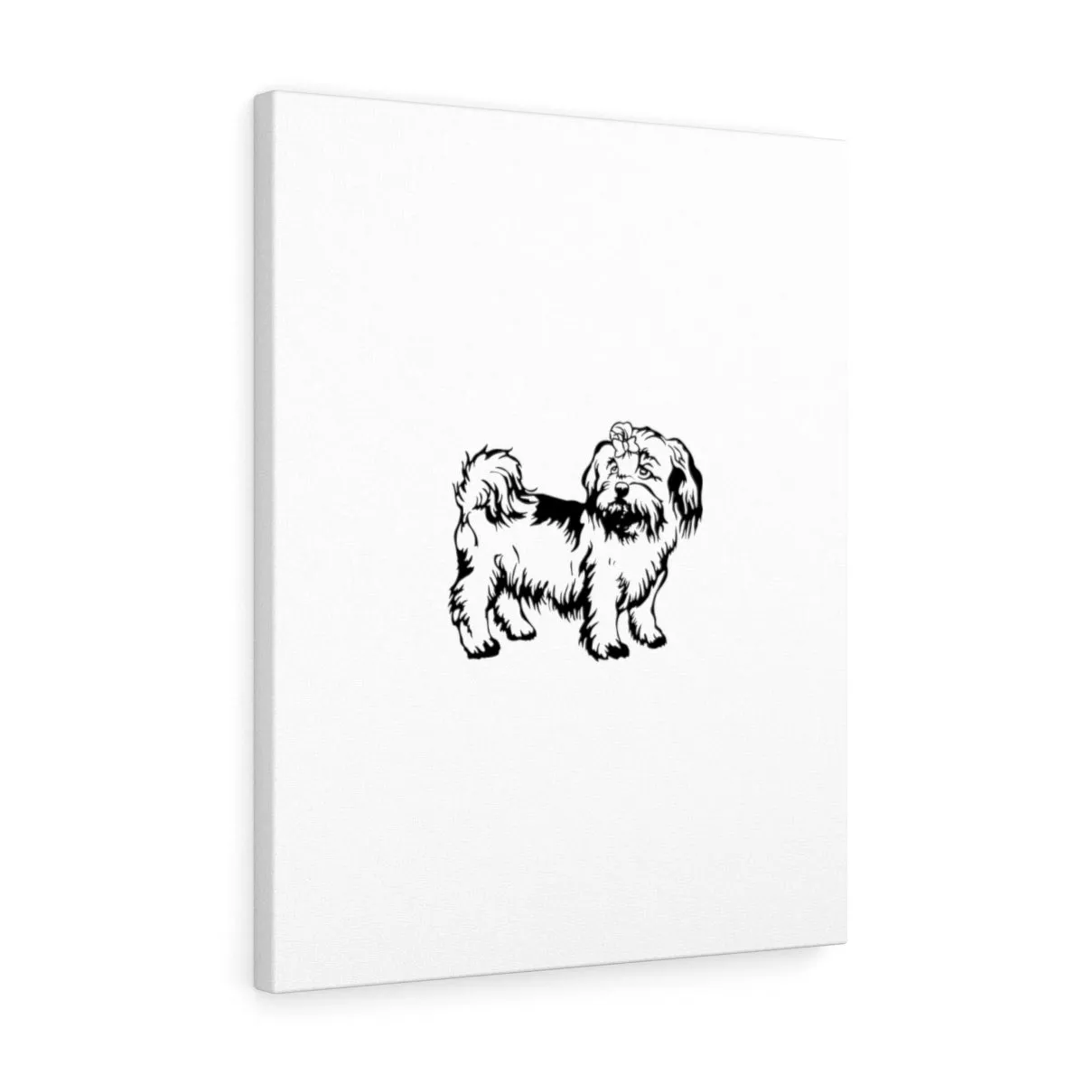 Shih Tzu Stretched canvas