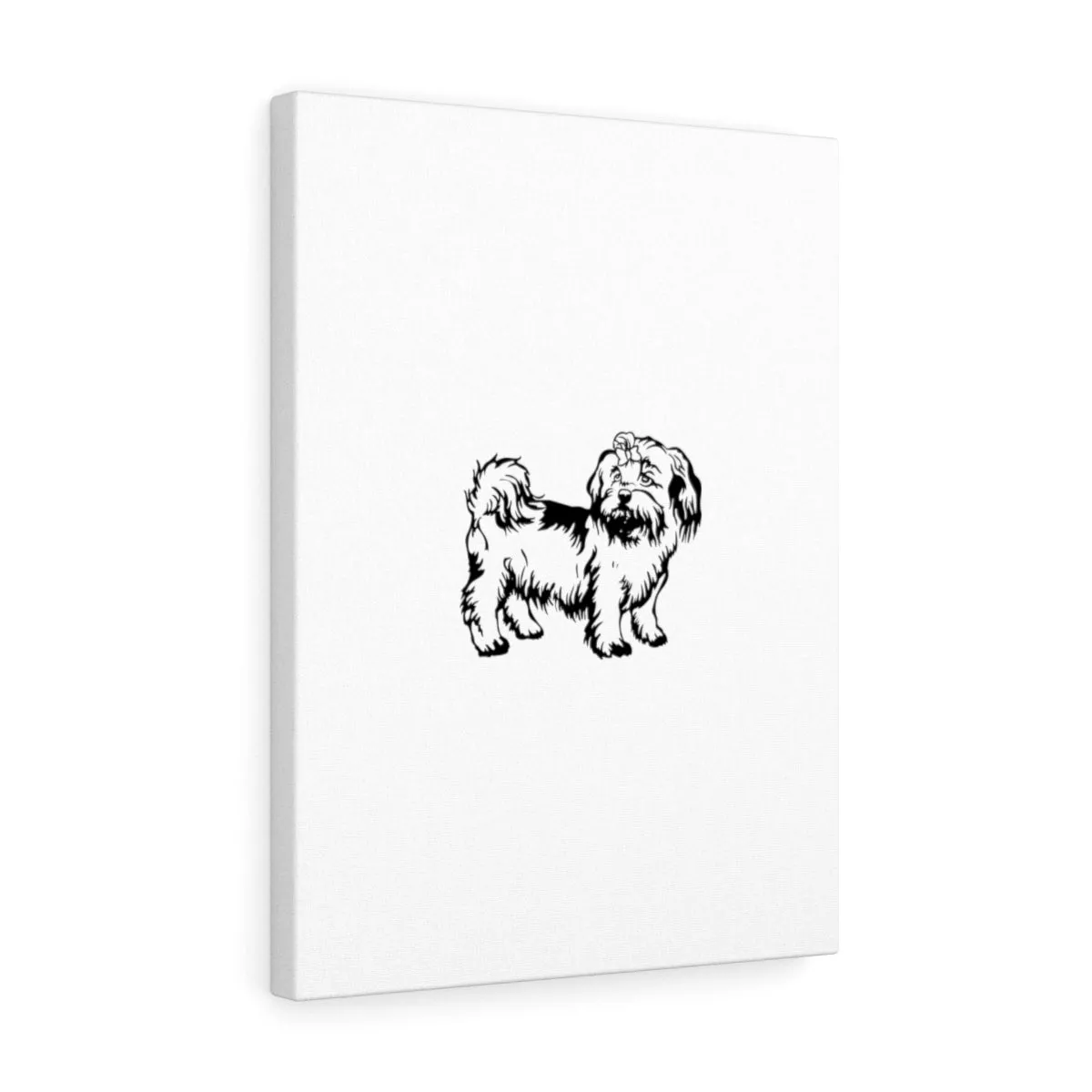 Shih Tzu Stretched canvas