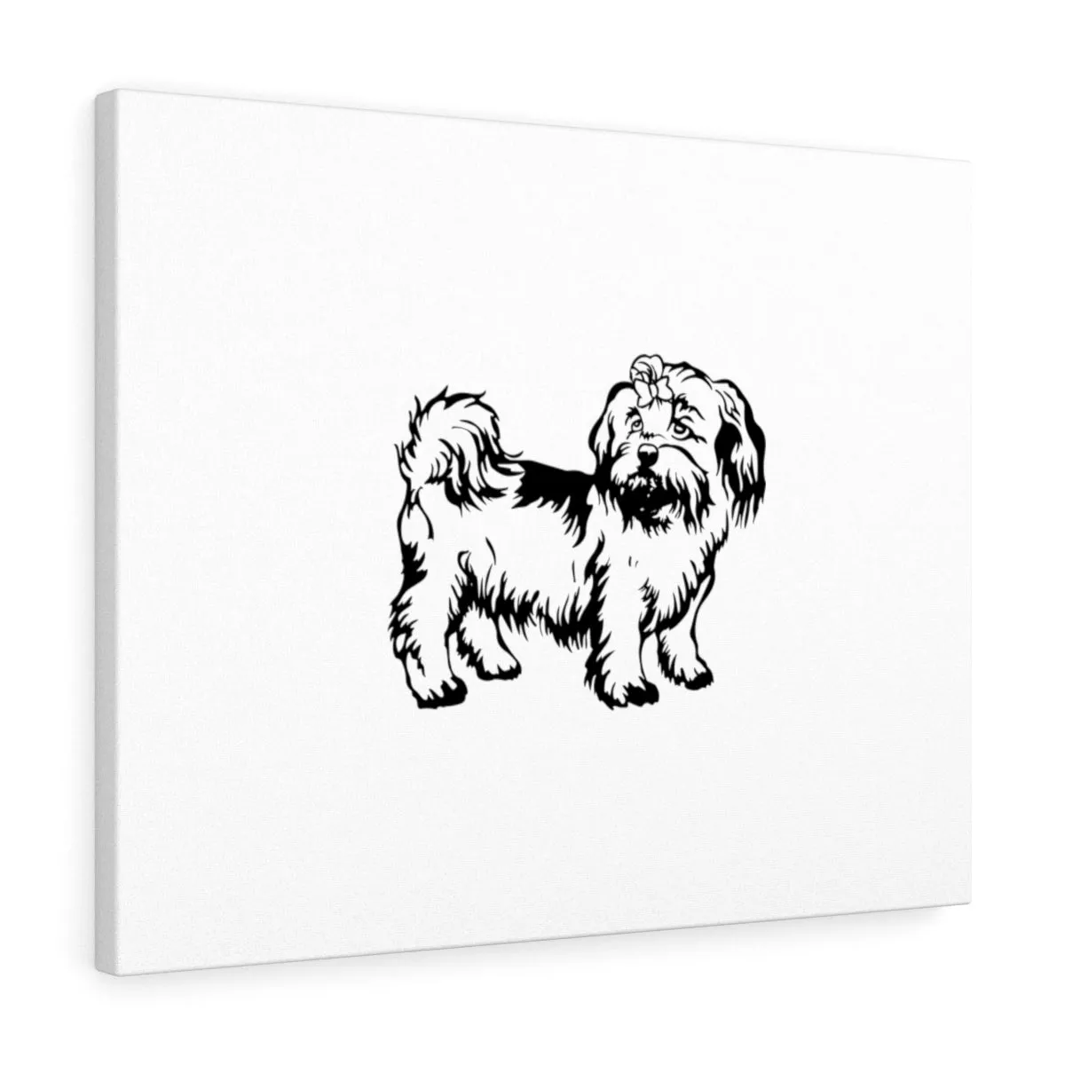 Shih Tzu Stretched canvas