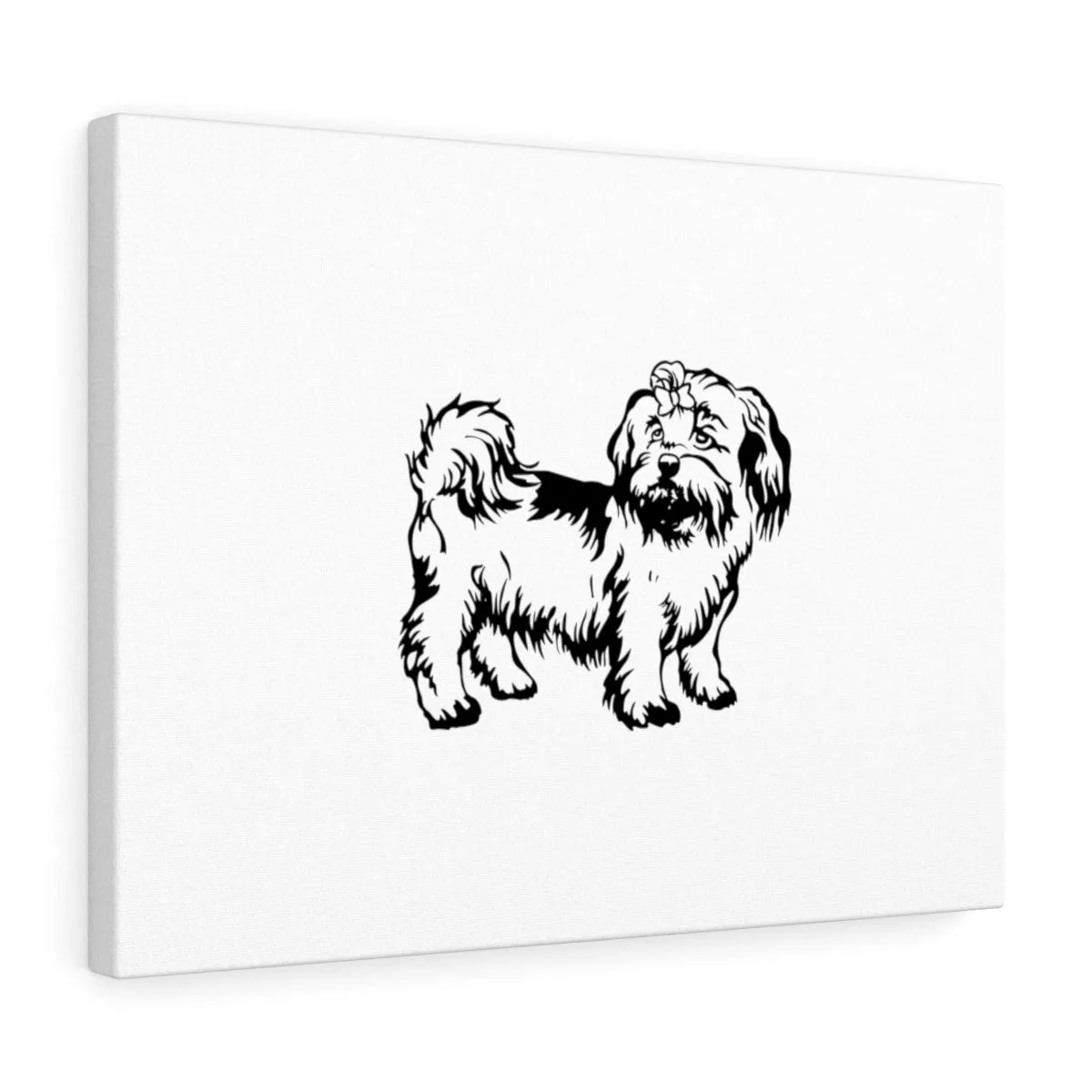 Shih Tzu Stretched canvas