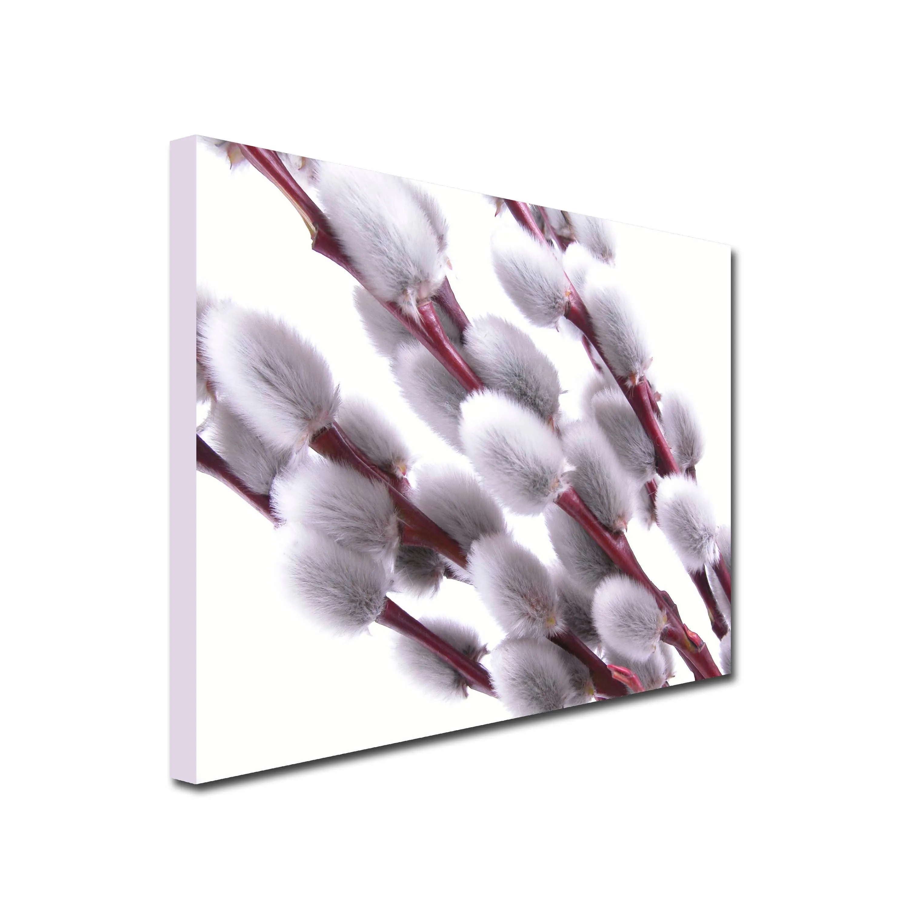 Willow Blossom Art Canvas