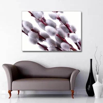 Willow Blossom Art Canvas